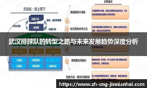 武汉排球队的转型之路与未来发展趋势深度分析